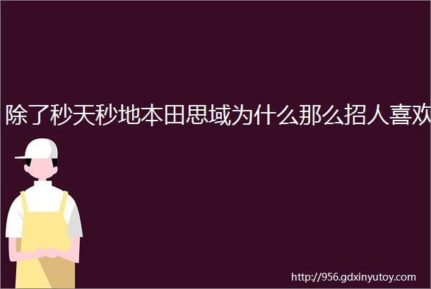 除了秒天秒地本田思域为什么那么招人喜欢